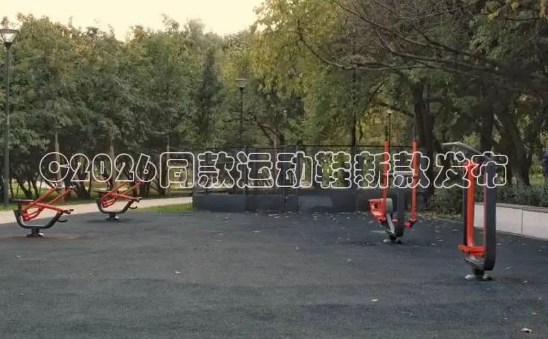 飞速体育直播app下载